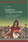 Radical Inequalities: China's Revolutionary Welfare State in Comparative Perspective book cover