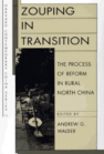 Zouping in Transition: The Process of Reform in Rural North China book cover